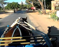 緬甸-華麗馬車逍遙遊