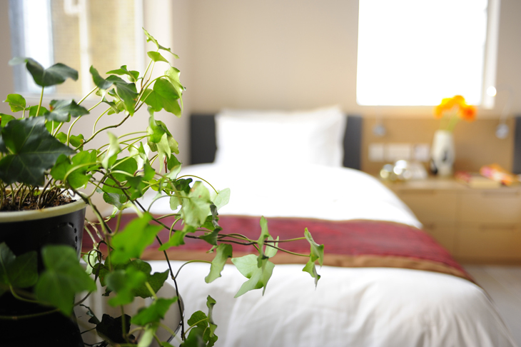 Apartment Kapok Hong Kong 香港木棉花服務式住宅 香港 香港飯店介紹 Colatour 全球訂房