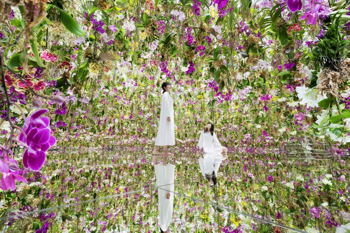 teamLab