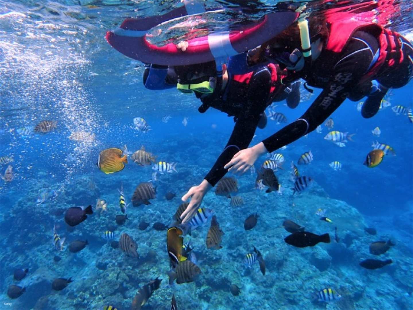 好望角潛水台東綠島浮潛體驗 電子票 產品內容 Colatour 可樂票券