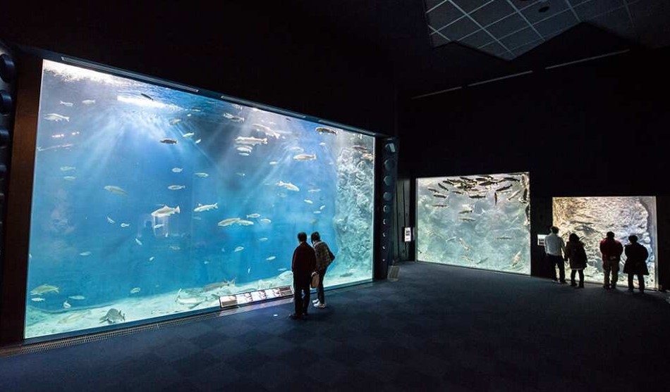 北海道、千歲、千歲水族館