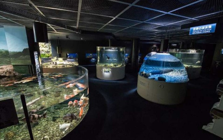 北海道、千歲、千歲水族館