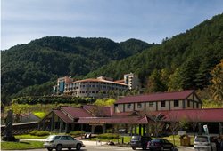 觀光巴士 世外桃源 愛在武陵農 可樂旅遊 康福旅行社