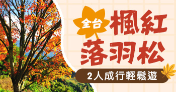 台灣全台楓葉落羽松