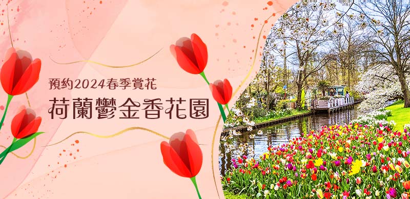 春賞荷蘭鬱金香花園