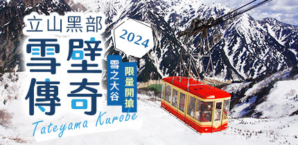 立山雪壁