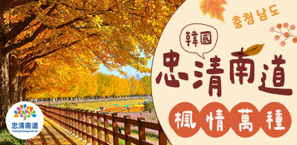 忠清南道