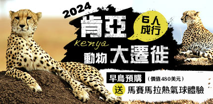 肯亞動物大遷徙
