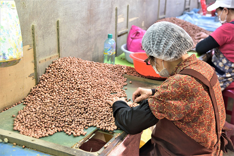 余順豐花生觀光工廠保留人工篩豆流程