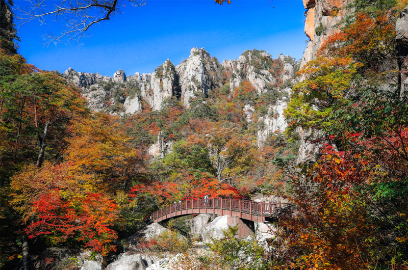 韓國雪嶽山賞楓 韓國雪嶽山賞楓
