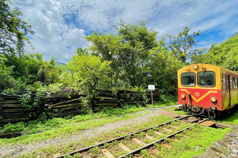 可樂旅遊阿里山獨家森鐵專列