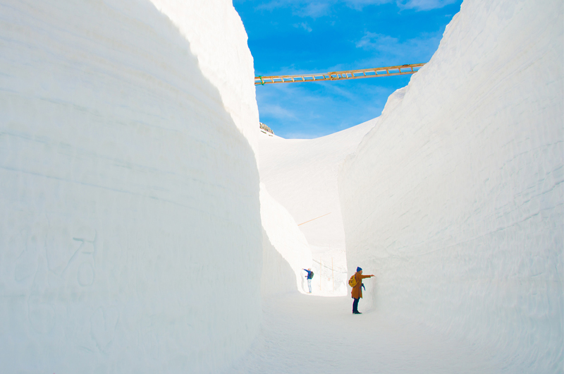 立山黑部壯觀雪牆