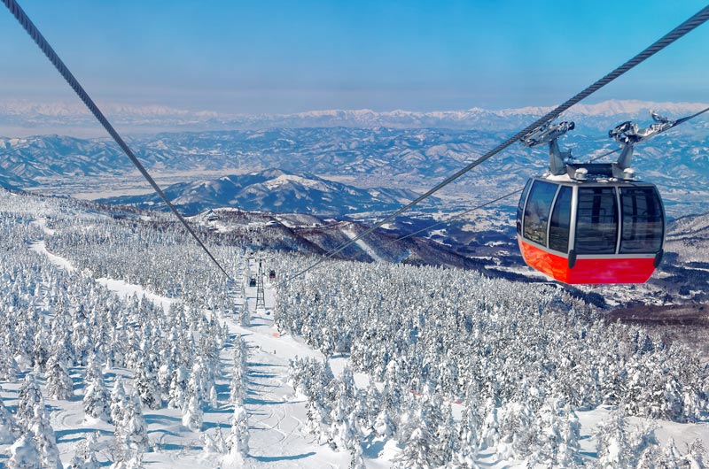 東北雪舞紛飛