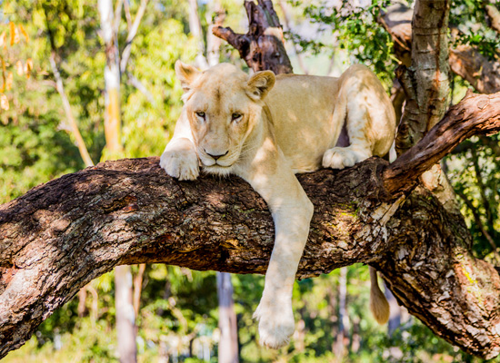 1.阿姆斯特丹(2)