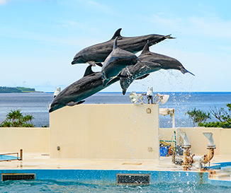 沖繩美麗海水族館