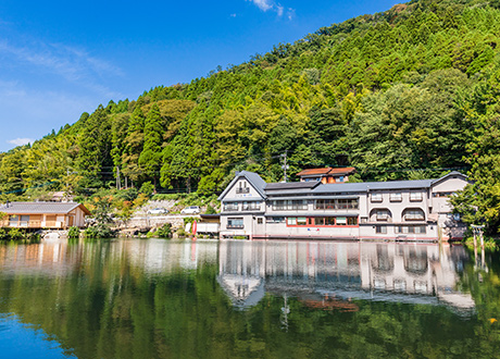 台中出發 星宇直飛九州