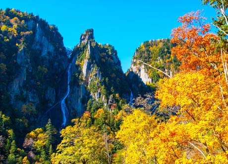 北海道楓葉情 青池 旭山