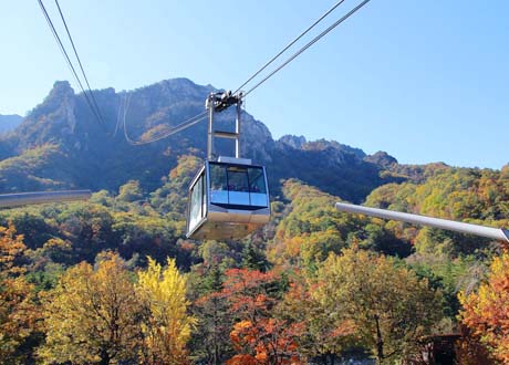 韓國楓花雪嶽 雪嶽山 南怡島 首爾
