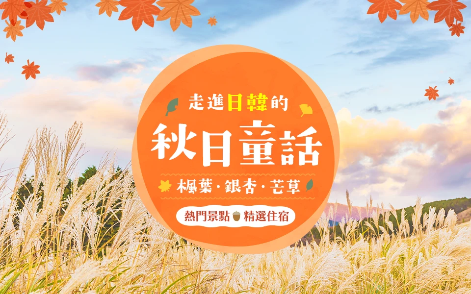 日本韓國秋季芒草 平版