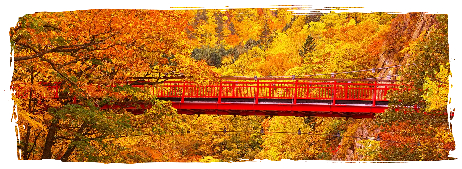 日本楓葉景點 定山溪