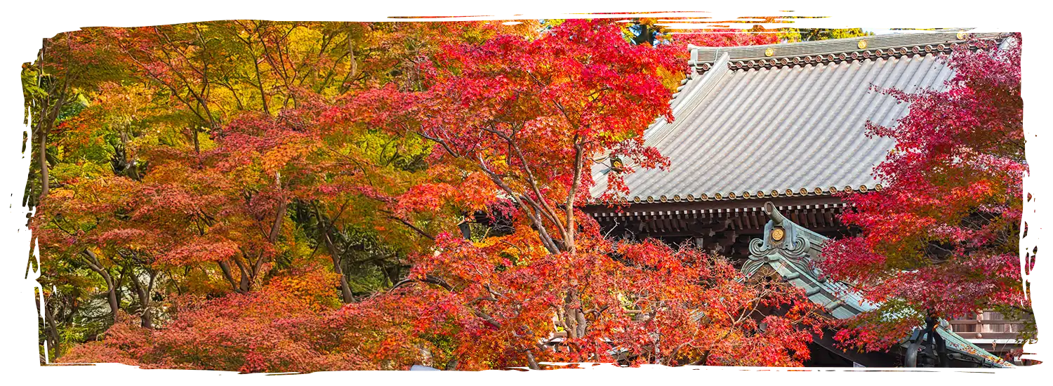 日本楓葉景點 高尾山