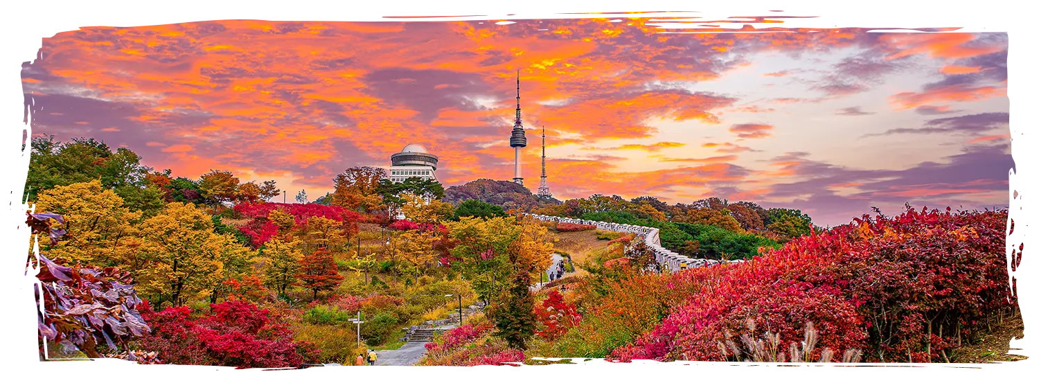 韓國楓葉景點 南山環山步道