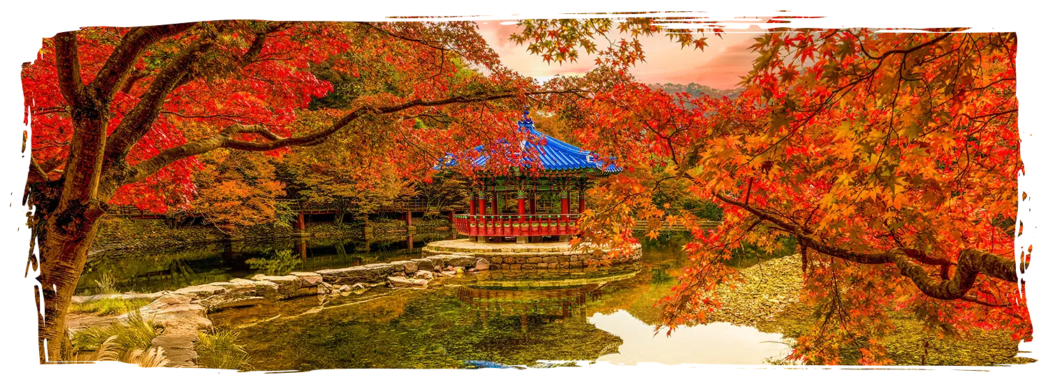 韓國楓葉景點 內藏山