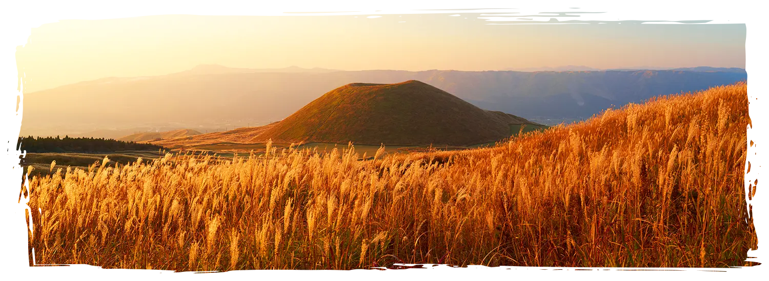 日本芒草景點 阿蘇米塚草原