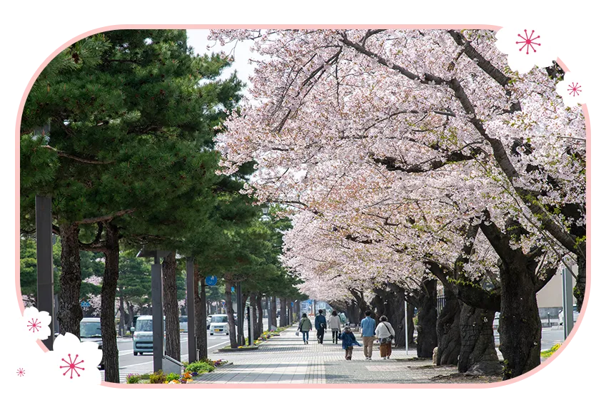 十和田市官廳街通(駒街道)