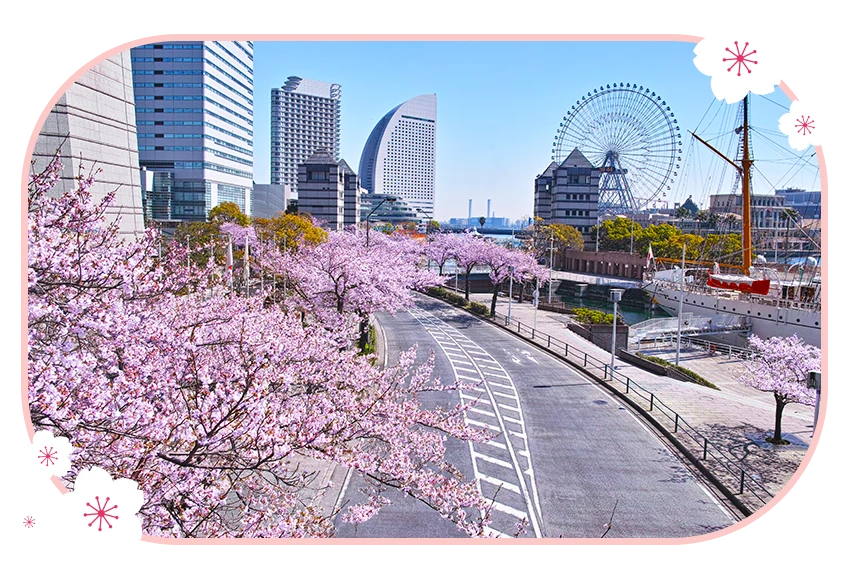 橫濱櫻通汽車道