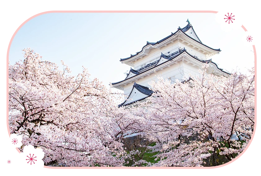 小田原城址公園