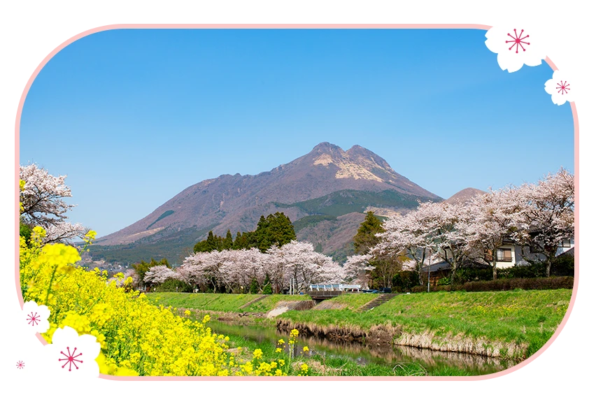 由布院 大分川岸櫻花並木