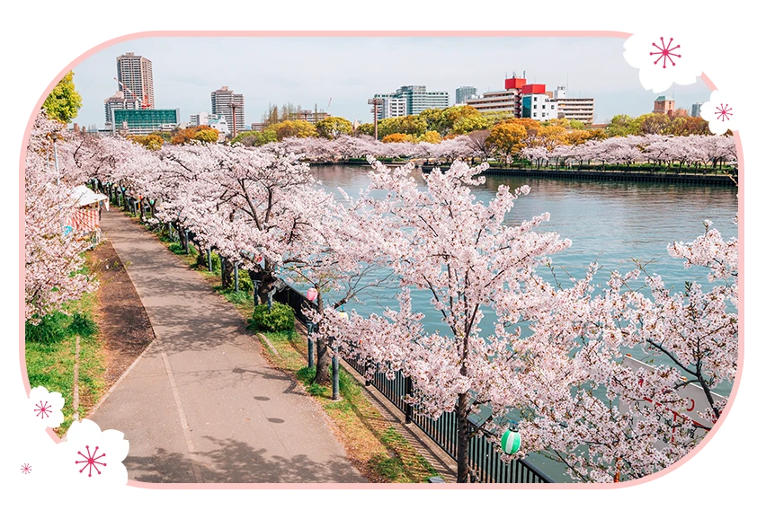 毛馬櫻之宮公園