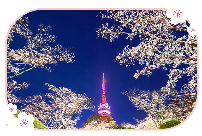 宇都宮八幡山公園