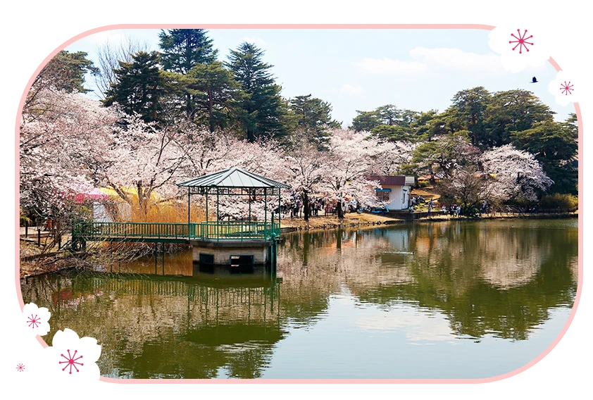 埼玉大宮公園