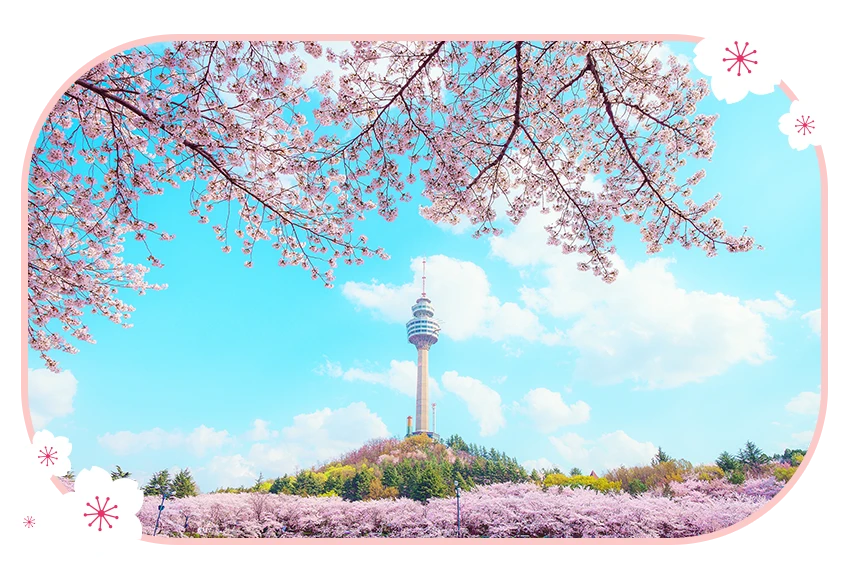 頭流公園・E-World 