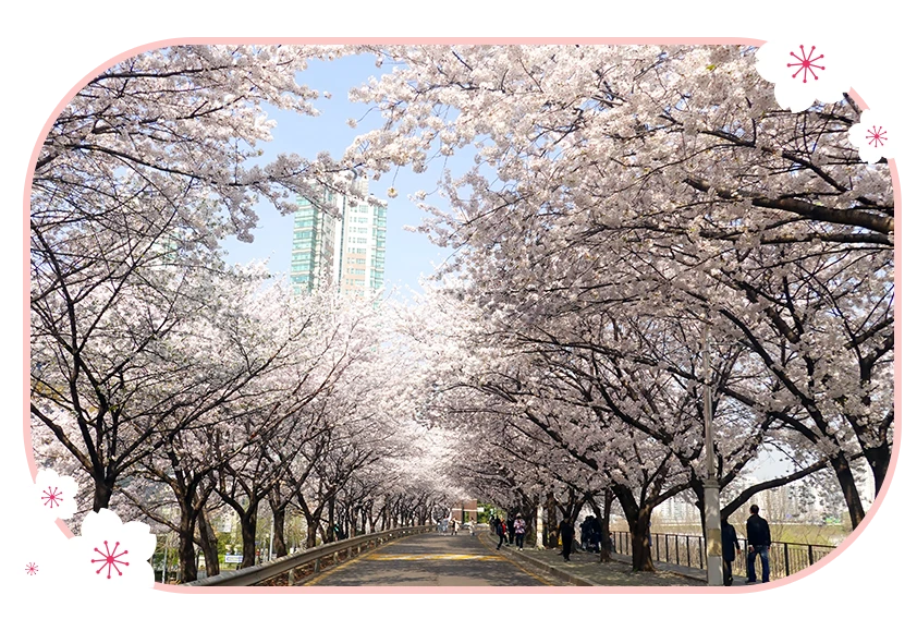 汝矣島・仙遊島