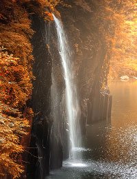 日本 