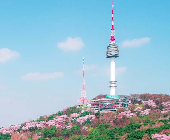 首爾包車輕旅》兩人成行.自選酒店輕鬆自由行5日