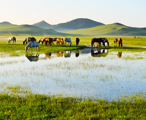 內蒙古呼和浩特