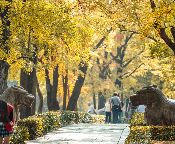 2人成行◆網紅城市一日遊》南京3天2夜自由行