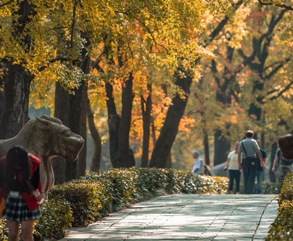 網路限定》中國南京自由配