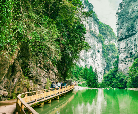 網路限定》中國重慶自由配