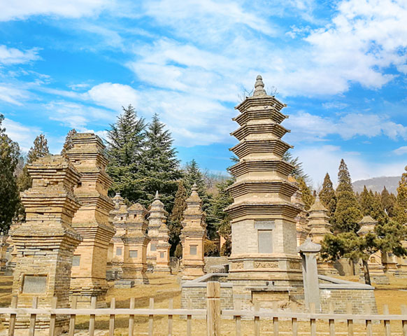 網路限定》中國鄭州自由配