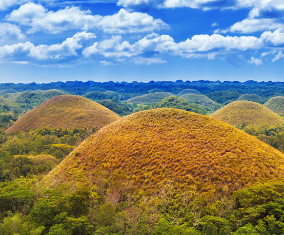 網路限定》宿霧自由配