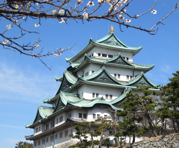 網路限定》名古屋自由配