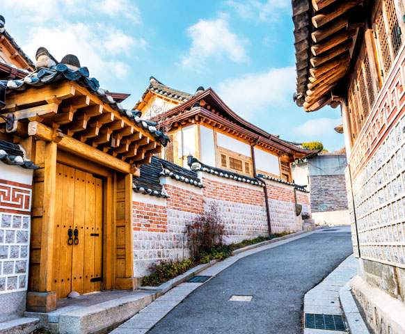 網路限定》首爾自由配