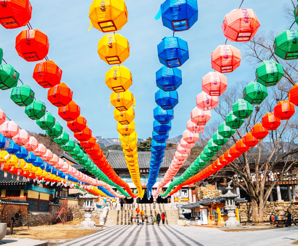 網路限定》大邱自由配