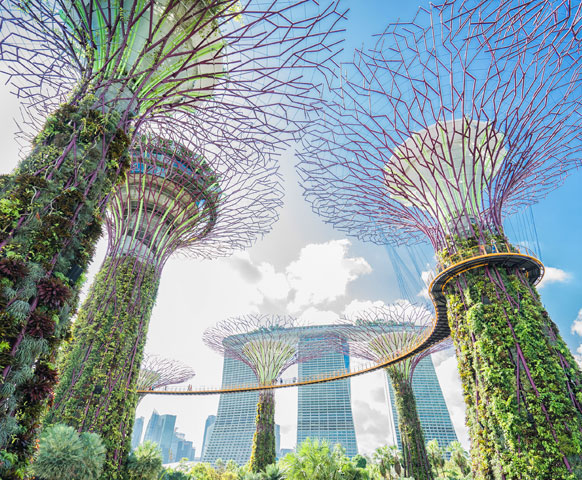 網路限定》新加坡自由配