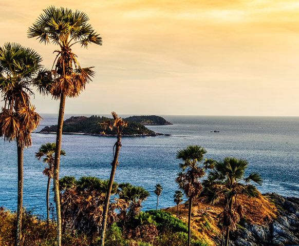 網路限定》普吉島自由配